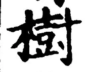 글자 樹