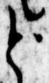 位置定マレルど
