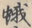 蛾の位置