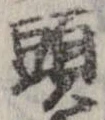 已定位頭