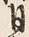 「日」字