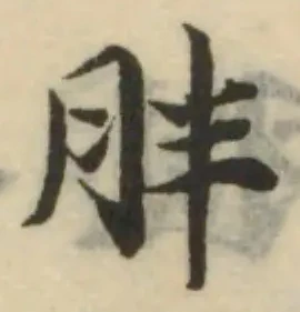 Đã định vị 胖