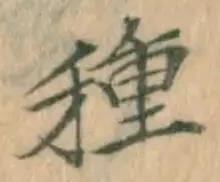 글자 種