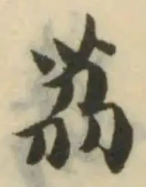 荔の位置