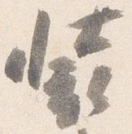 已定位装