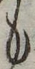 位置定マレル𛃚