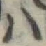 𛂞 위치 확인됨