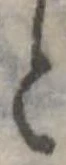 と 위치 확인됨