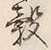 글자 米