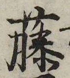 藤 위치 확인됨