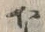 𡨸な