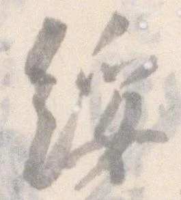 綏 위치 확인됨