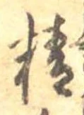 精 위치 확인됨