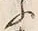 「ふ」字