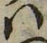 Đã định vị 𛂞