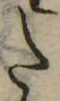 𛁠 위치 확인됨