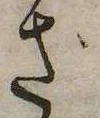 ざの位置
