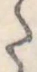 Đã định vị 𛁠