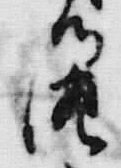 Chữ 御