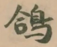 鴿 위치 확인됨