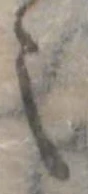 之 위치 확인됨