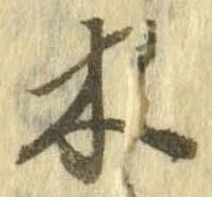 位置 確認된 木