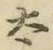 글자 太