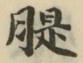 䐎 위치 확인됨