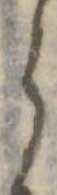 𛃰 위치 확인됨