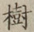 글자 樹
