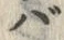 𡨸バ