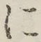 글자 に