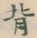 Character 背
