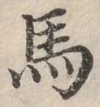馬 위치 확인됨
