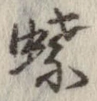 蝶 위치 확인됨
