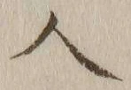 字人