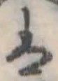 已定位𛂣