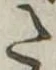 Đã định vị 𛁠