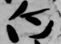 位置 確認된 向
