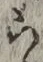 글자 ら