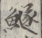 鱁 위치 확인됨