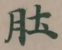 肚，已得其位