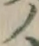 “ノ”字