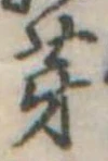 芽 위치 확인됨