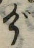 位置 確認된 げ