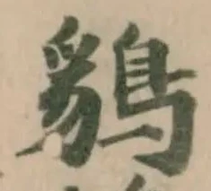 𪁰 위치 확인됨