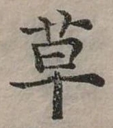 草 위치 확인됨
