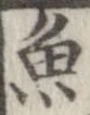 魚，已得其位