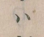 已定位𛂞