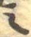 之 위치 확인됨